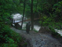 2013-06-01_Regina-F-Rau_Staffelalm_Hochwasser (190).JPG